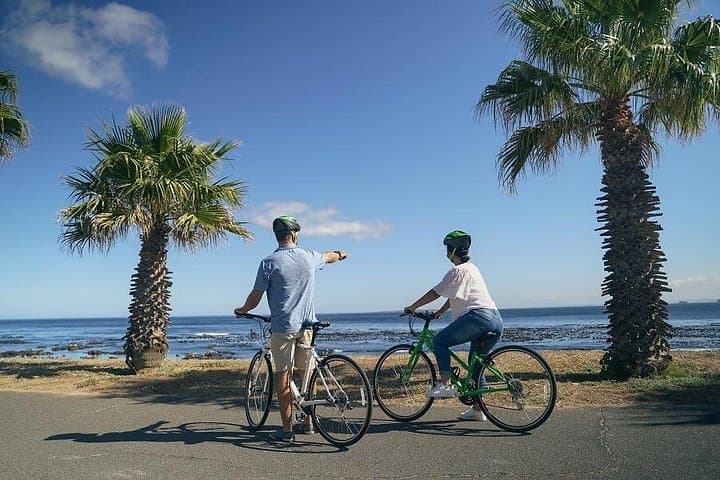 Private City Bike Tour Along Cape Town's Atlantic Promenade photo 1
