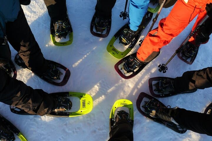 Easy Polar-Night Snowshoeing and Café Visit near Tromsø photo 6