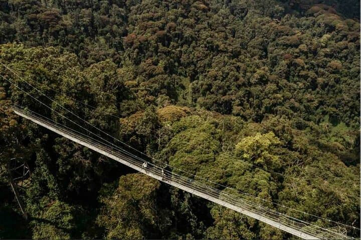 Nyungwe Canopy Walk: One-Day Private Walk Adventure from Kigali photo 5