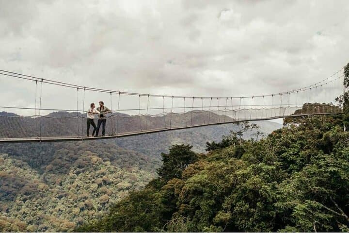 Nyungwe Canopy Walk: One-Day Private Walk Adventure from Kigali photo 4