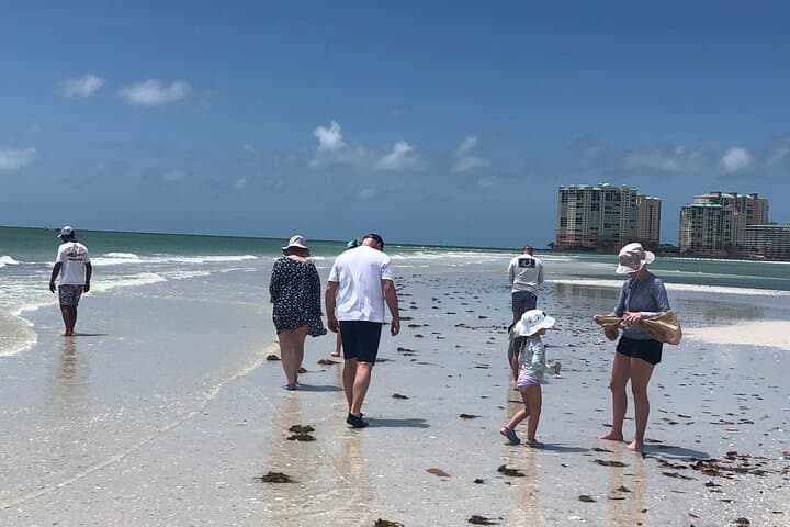10,000 Islands Dolphin & Shelling Tour from Goodland — 3.5-Hour Eco-Boat Excursion photo 3