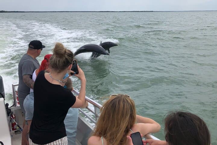10,000 Islands Dolphin & Shelling Tour from Goodland — 3.5-Hour Eco-Boat Excursion photo 2