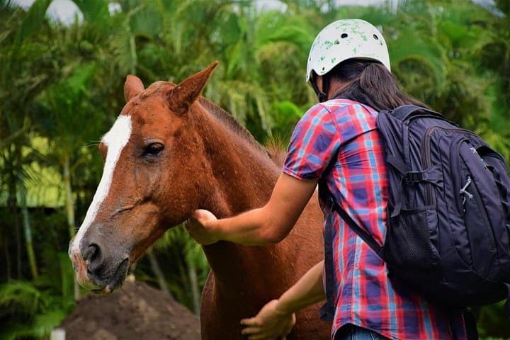 Rincón de la Vieja Volcano Adventure Combo: Zipline, Hot Springs & Cultural Ranch Day photo 4
