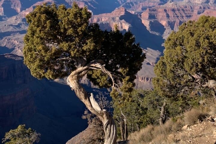 Private Custom Grand Canyon South Rim Tours from Sedona photo 3