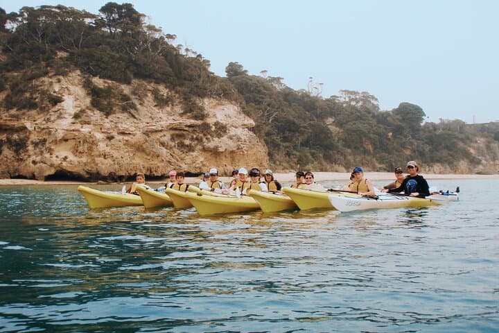 Mornington Peninsula Kayak Tour — Paddle the Point Nepean Dolphin Sanctuary photo 6