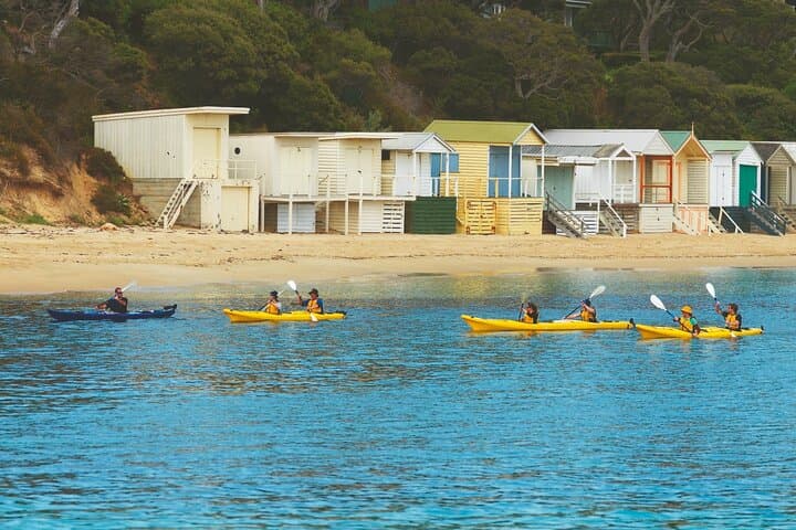 Mornington Peninsula Kayak Tour — Paddle the Point Nepean Dolphin Sanctuary photo 4