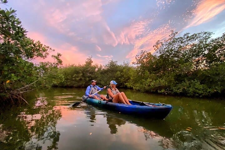 Paddle the Mangrove Tunnel: Thousand Islands Bioluminescent Comb Jelly Sunset Kayak photo 3