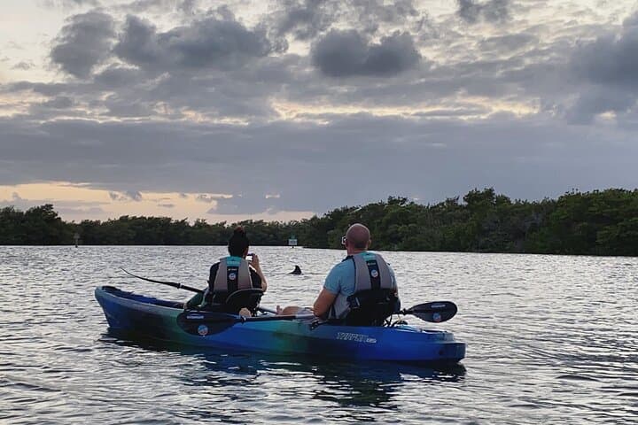 Paddle the Mangrove Tunnel: Thousand Islands Bioluminescent Comb Jelly Sunset Kayak photo 4