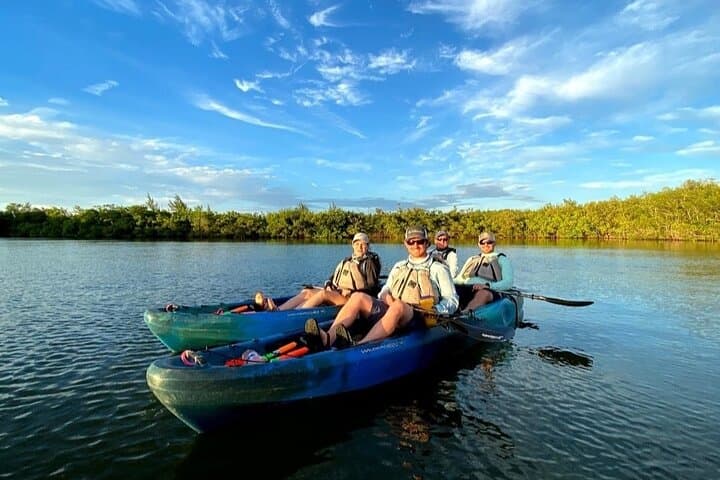 Paddle the Mangrove Tunnel: Thousand Islands Bioluminescent Comb Jelly Sunset Kayak photo 5