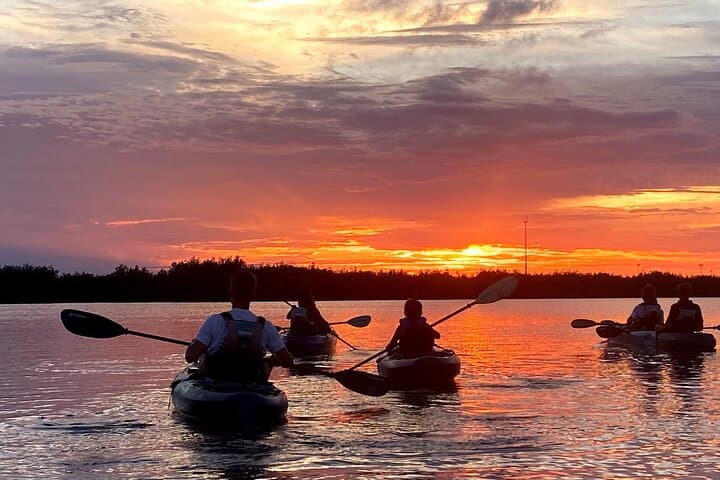 Paddle the Mangrove Tunnel: Thousand Islands Bioluminescent Comb Jelly Sunset Kayak photo 6