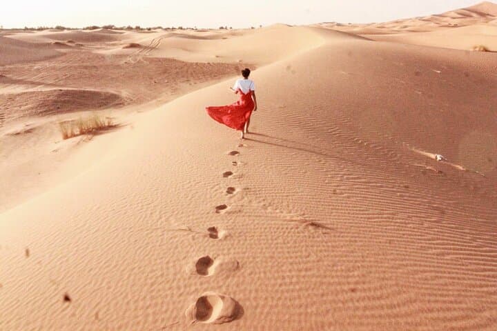 Premium Dubai Desert Safari: Dune Bashing, Camel Ride & Evening Entertainment photo 6