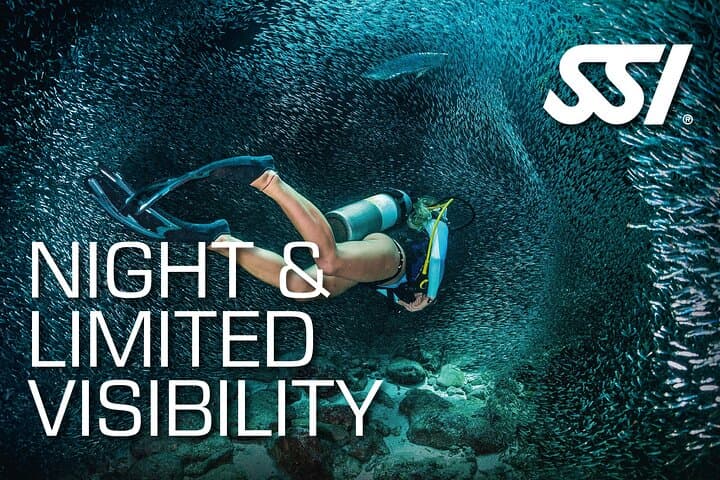 Tenerife Night Dive Guide: SSI Night Dive Specialty — After-Dark Scuba Essentials