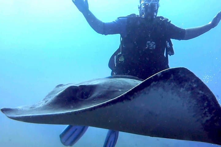 SSI Open Water Diver Course in Tenerife: 3-Day Scuba Certification in Golf del Sur photo 3