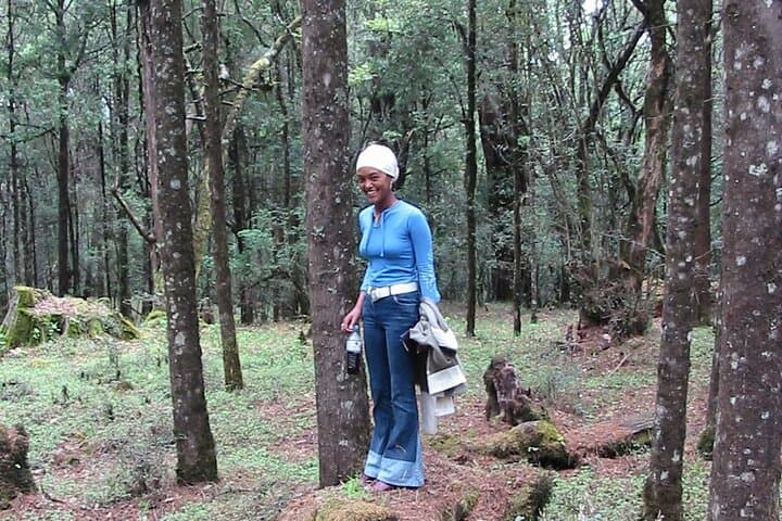 Menagesha Suba Forest Hike: Climb Mt Wuchacha and Spot Endemics Near Addis Ababa