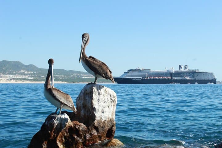 Cabo San Lucas Glass Bottom Boat to El Arco and Playa del Amor photo 4