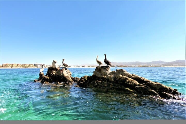 Cabo San Lucas Glass Bottom Boat to El Arco and Playa del Amor photo 5