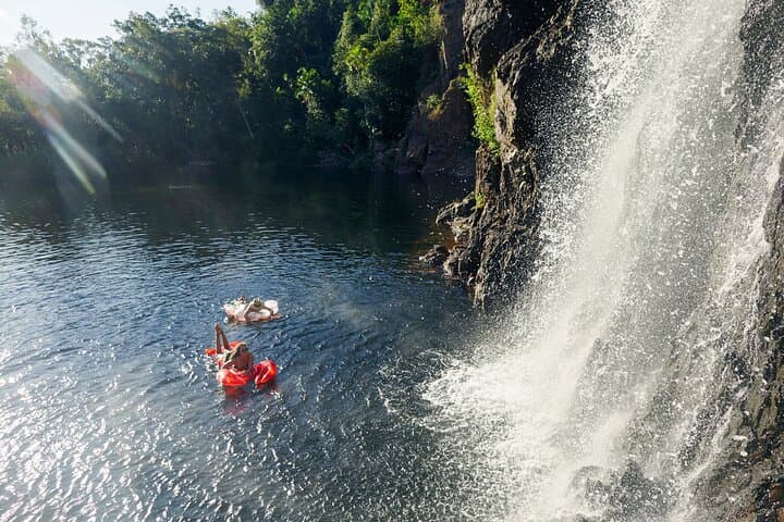 Litchfield Waterfalls & Wildlife Day Tour from Darwin photo 6
