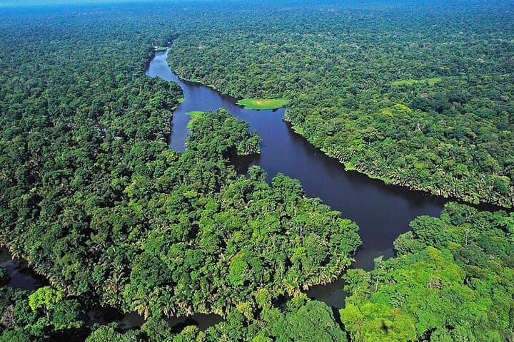 3-Day Tortuguero National Park Wildlife Tour with San José Pickup