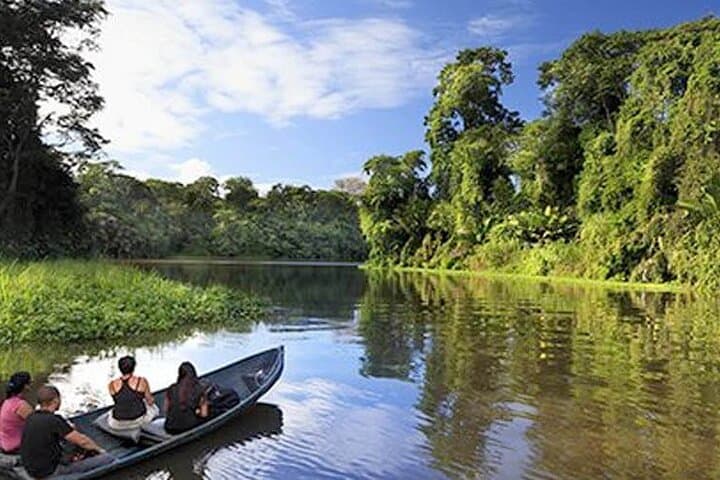 3-Day Tortuguero National Park Wildlife Tour with San José Pickup photo 3