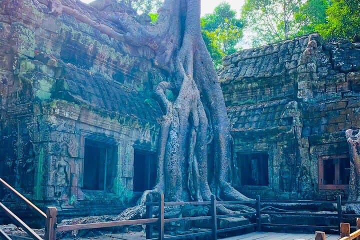 Private Half-Day Angkor Temple Tour: Angkor Wat, Bayon & Ta Prohm by Car photo 4