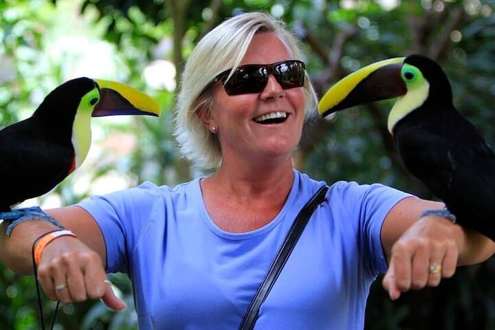 La Paz Waterfall Gardens & Baldi Hot Springs: Private Day Trip from San José photo 1