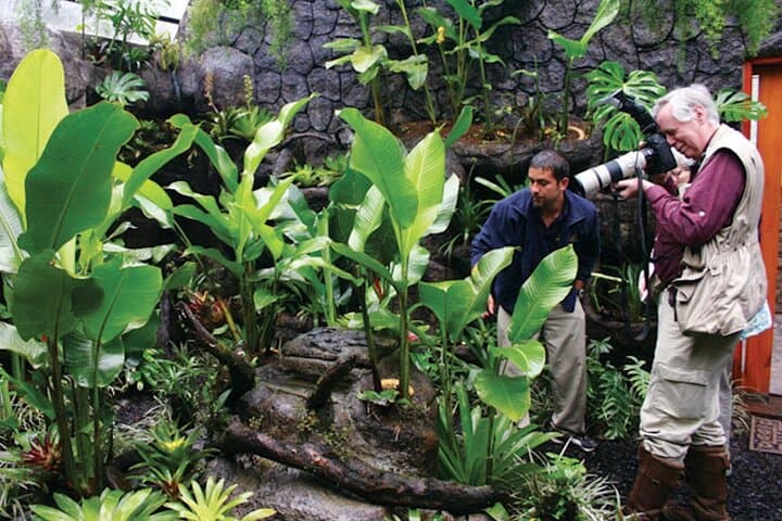 La Paz Waterfall Gardens & Baldi Hot Springs: Private Day Trip from San José photo 3
