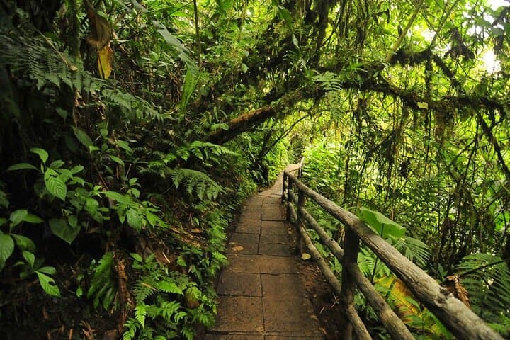 La Paz Waterfall Gardens & Baldi Hot Springs: Private Day Trip from San José photo 4