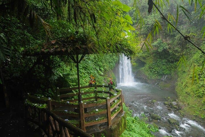 La Paz Waterfalls and Tabacón Hot Springs: Full-Day Private Tour from San José