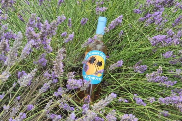 Full-Day Provence Lavender & Verdon Tour from Nice — Moustiers, Lake Sainte-Croix, Valensole