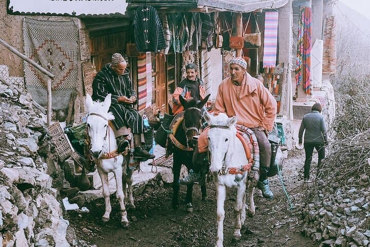 Full-Day Agafay Desert and Berber Village Tour from Marrakech photo 6