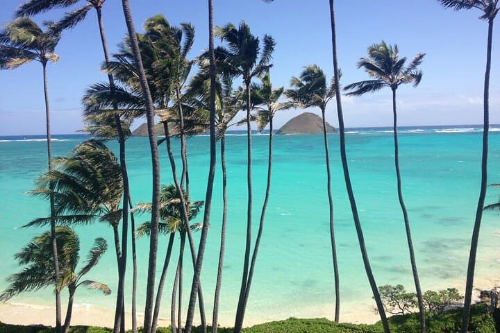 Explore Lanikai to Mokulua Islands by Stand Up Paddle Board: A Hawaiian Waters Adventure photo 4