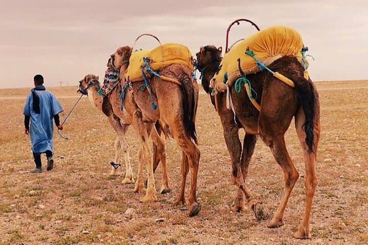 Atlas Mountains Day Trip from Marrakech: Berber Villages, Imlil Waterfalls & Camel Ride