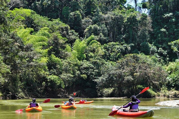2-Day Kayaking Adventure in the Amazon: Paddle with Parrots and Kichwa Culture photo 2
