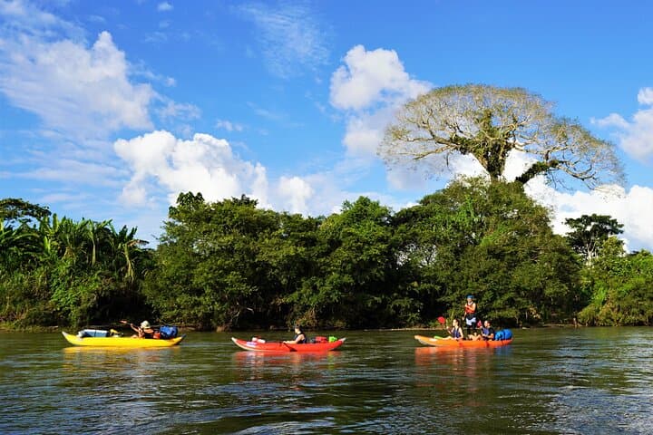 2-Day Kayaking Adventure in the Amazon: Paddle with Parrots and Kichwa Culture