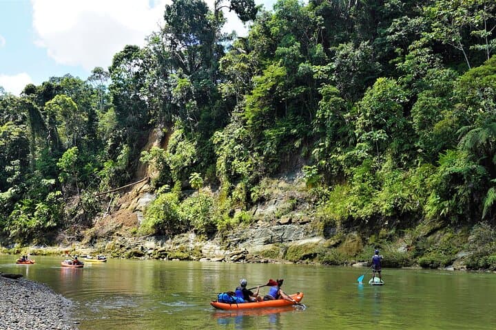 2-Day Kayaking Adventure in the Amazon: Paddle with Parrots and Kichwa Culture photo 5
