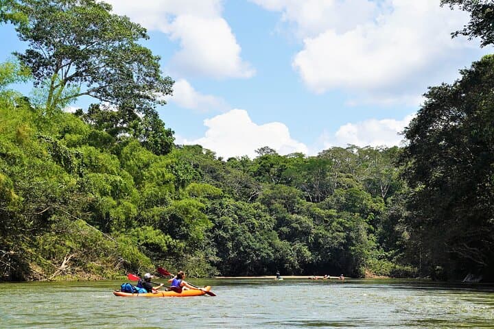 2-Day Kayaking Adventure in the Amazon: Paddle with Parrots and Kichwa Culture photo 6