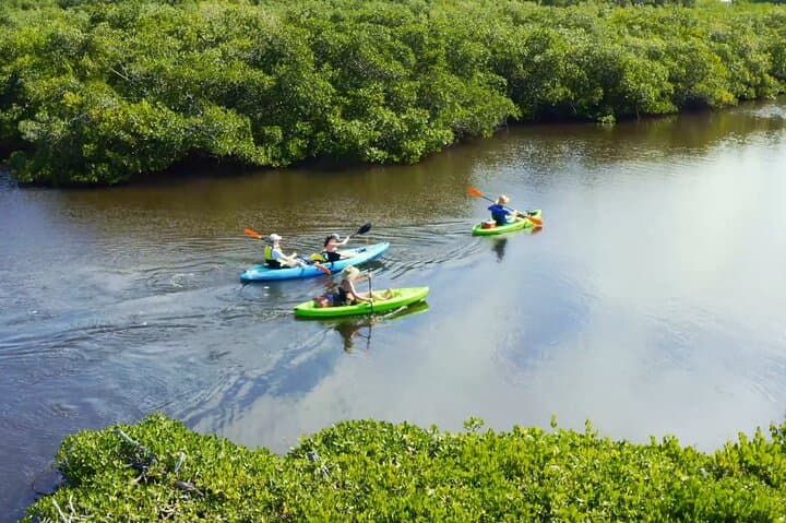Paddle the Canals of Venice, FL: South Venice Beach Kayak Tour photo 1