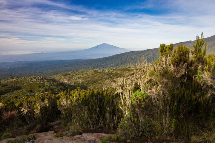 6-Day Kilimanjaro Climb — Lemosho Route to Uhuru Peak photo 6
