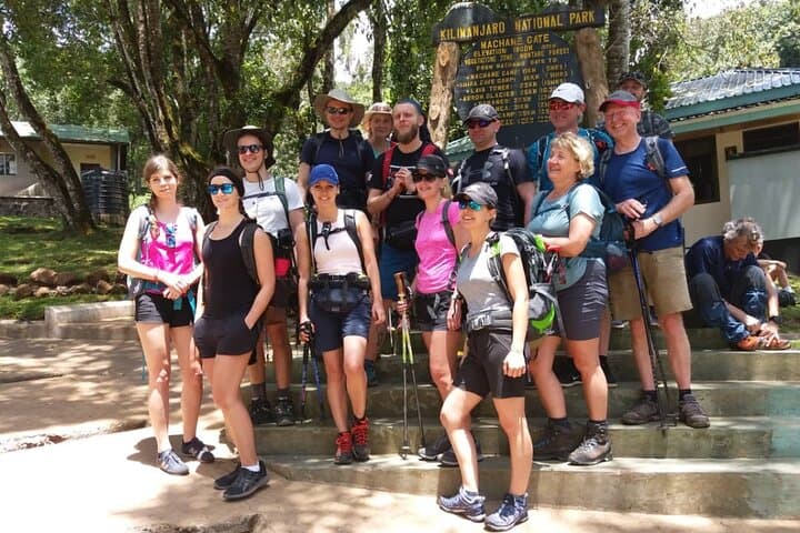 Kilimanjaro Lemosho Route: 8-Day Guide to Uhuru Peak photo 3