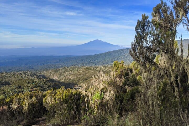 Day Hike to Mandara Hut: Kilimanjaro Rainforest Trek from Moshi photo 3