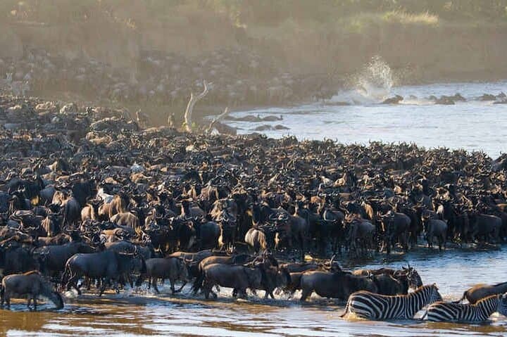 5-Day Great Wildebeest Migration Safari in Tanzania