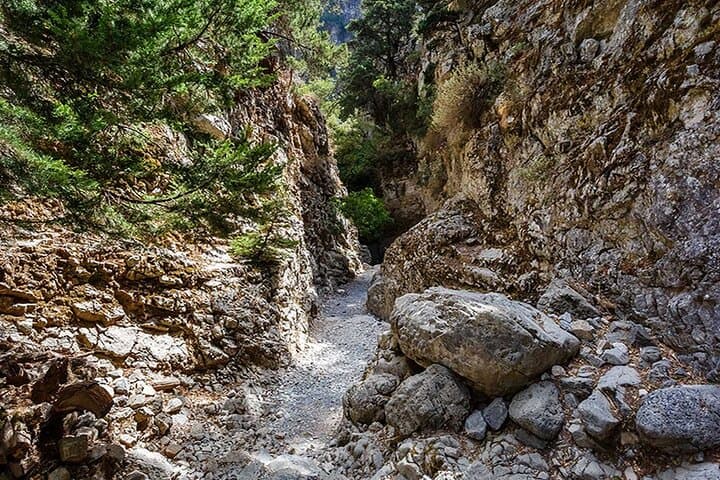 Imbros Gorge Guided Hike & Swim: Day Trip from Chania on the E4 Trail photo 3