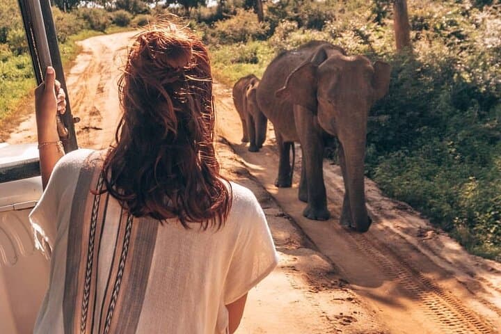 Udawalawe Safari from Galle — Full-Day Elephant Drive & Wildlife Viewing photo 1