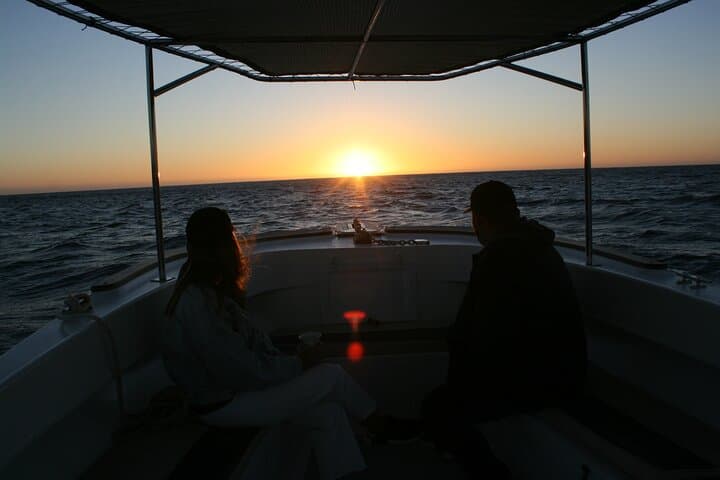Sunrise Whale Watching in San Jose del Cabo — Small-Group Humpback & Gray Whale Cruise photo 3