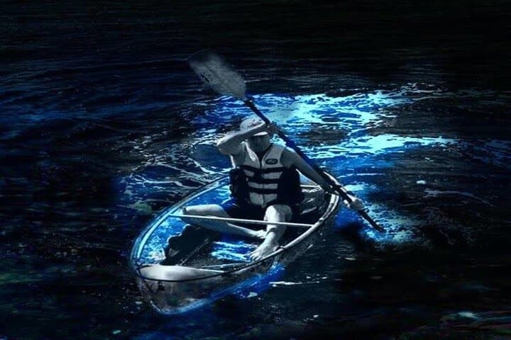 Cocoa Beach Clear Kayak Bioluminescence Night Tour: Paddle Through Living Light