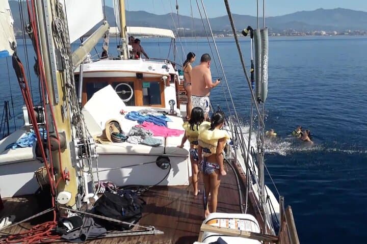 Dolphin Watching in Estepona Bay: Sail the Intrepido for Dolphins & a Swim photo 3