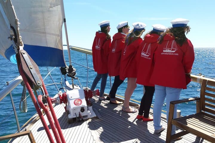 Dolphin Watching in Estepona Bay: Sail the Intrepido for Dolphins & a Swim photo 4