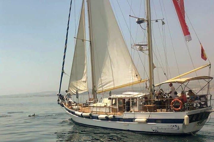 Dolphin Watching in Estepona Bay: Sail the Intrepido for Dolphins & a Swim photo 5