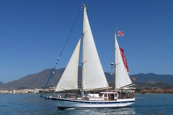 Dolphin Watching in Estepona Bay: Sail the Intrepido for Dolphins & a Swim photo 6