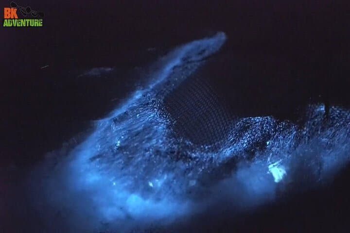 Cocoa Beach Clear Kayak Bioluminescence Night Tour: Paddle Through Living Light photo 5